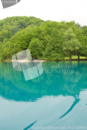 Image of Landscape of a beautiful green lake in the morning