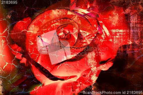 Image of Red Rose - Grunge abstract textured background