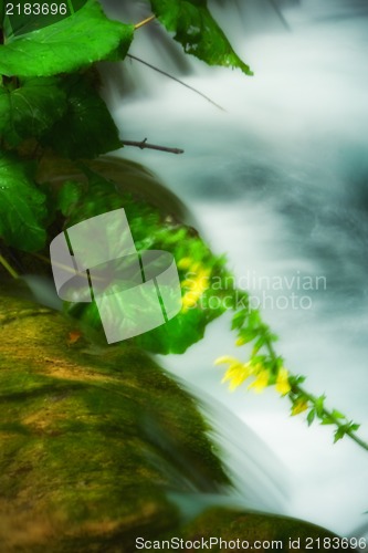 Image of Beautiful waterfalls at Plitvice Lakes National Park