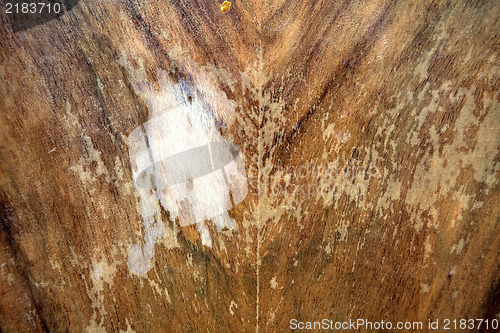 Image of Grunge wooden texture or background