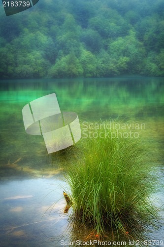 Image of Nature background - Landscape of a beautiful lake