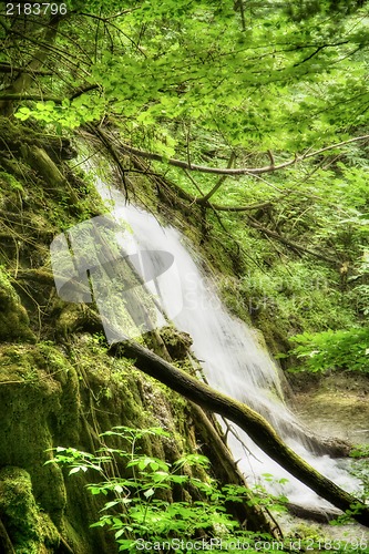 Image of Beautiful waterfalls at Plitvice Lakes National Park