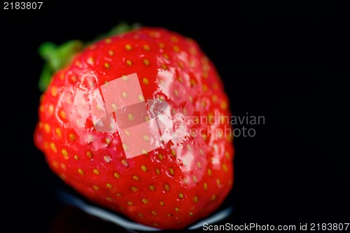 Image of Strawberry macro