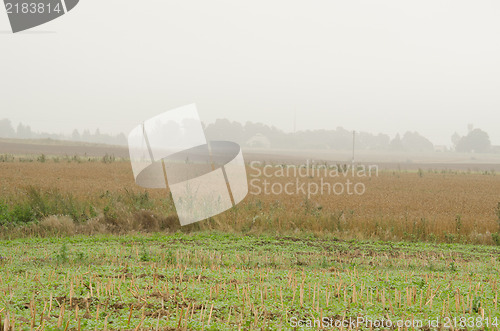 Image of landscape rural agriculture fields morning fog 
