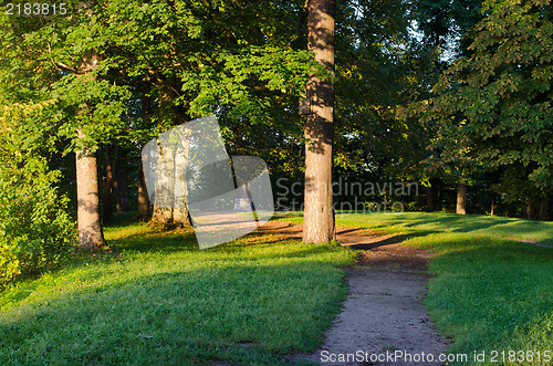 Image of park path trees morning sun old pagan stone altar 