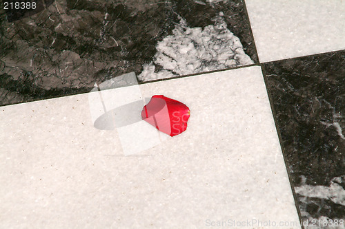 Image of rose petal on marble