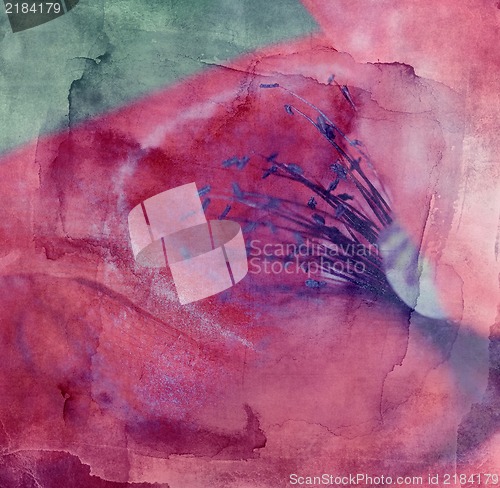 Image of Grunge abstract textured  collage - Rd poppy