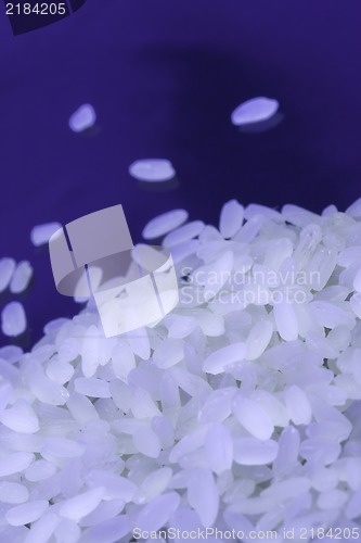 Image of Rice  on black background under neon light