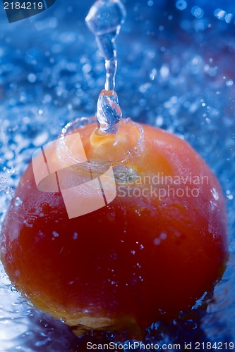 Image of Tomato