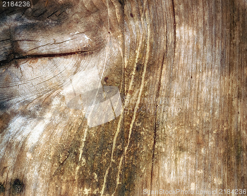 Image of Grunge wooden texture or background