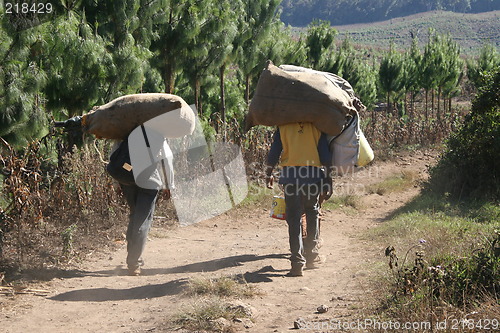 Image of Transport the African way