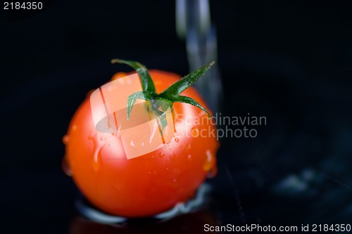 Image of Tomato