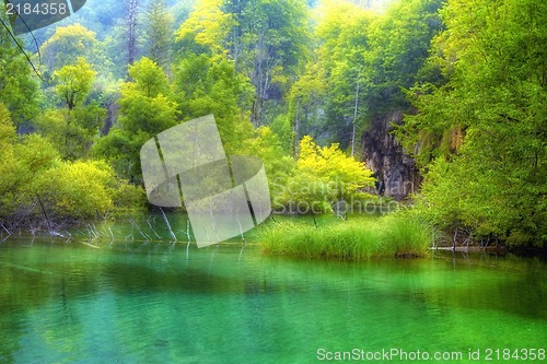 Image of Beautiful lake in spring time