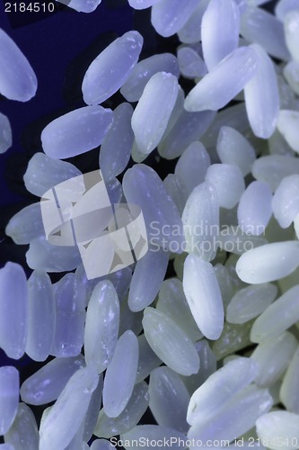 Image of Rice  on black background under neon light