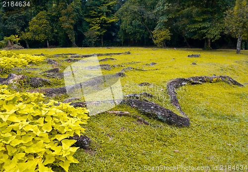 Image of Indonesian park