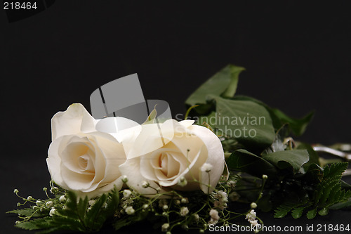 Image of Closeup of Two White Roses