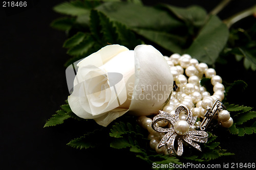 Image of Closeup of a White Rose with Pearls