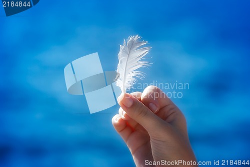 Image of Feather in hand