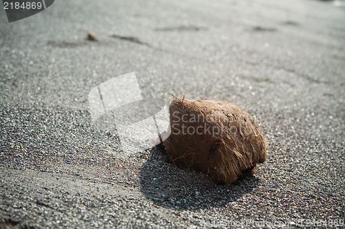 Image of Coconut on a sand beach , retro style toned photo