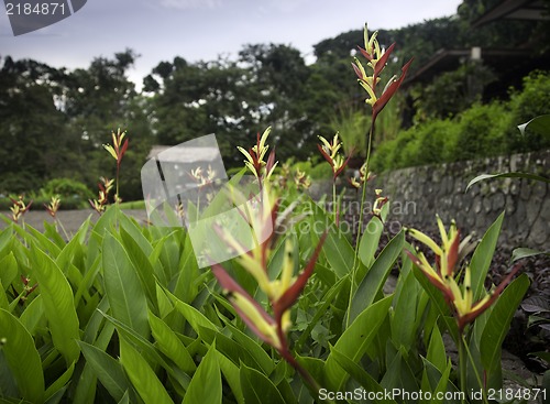 Image of Indonesian park