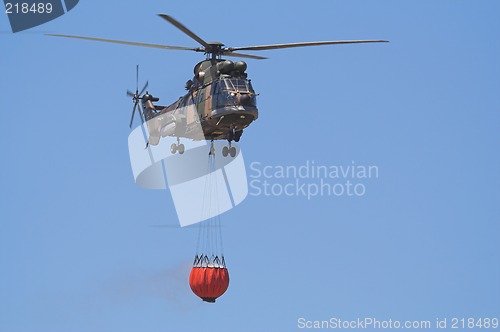 Image of bambi bucket