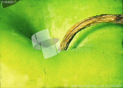 Image of Green apple - Grunge textured background