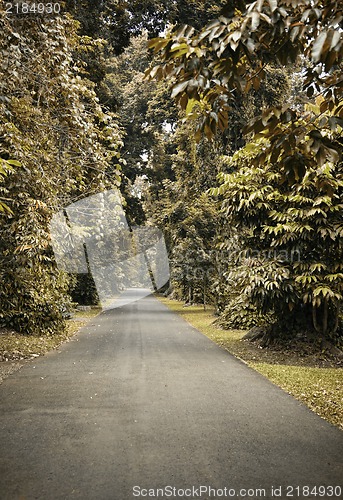 Image of Pathway in Autumn