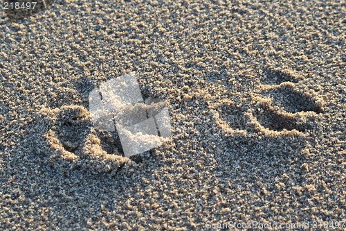 Image of Prints in the sand
