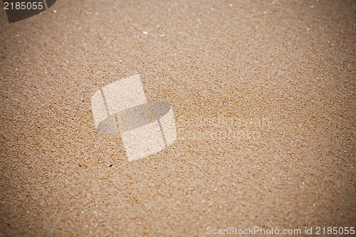 Image of Sand beach texture close up