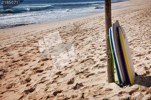 Image of Bodyboards on the beach