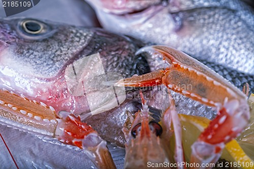 Image of Fresh Adriatic seafood on ice