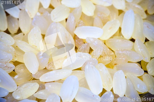 Image of Rice  on black background close up