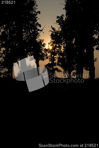 Image of Silouette at sunset