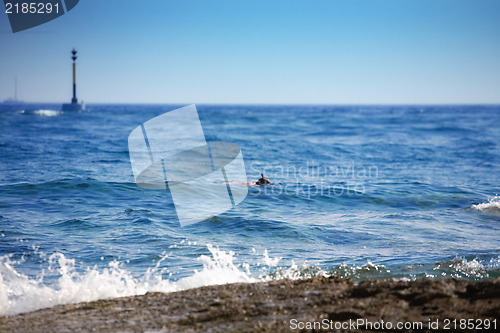 Image of Rocky beach