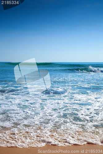 Image of Tropical sand beach