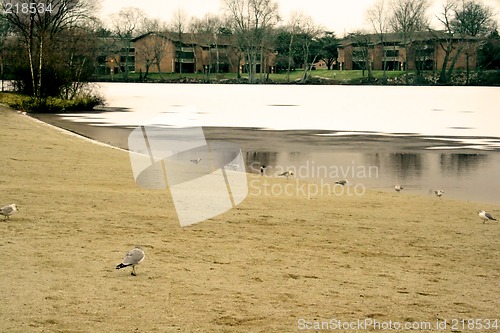 Image of Silver Lake