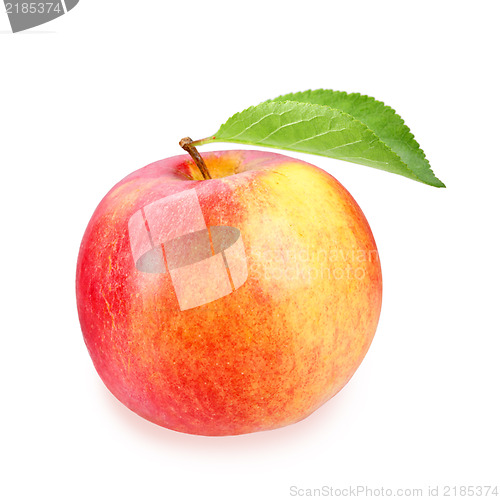 Image of Single a red-yellow apple