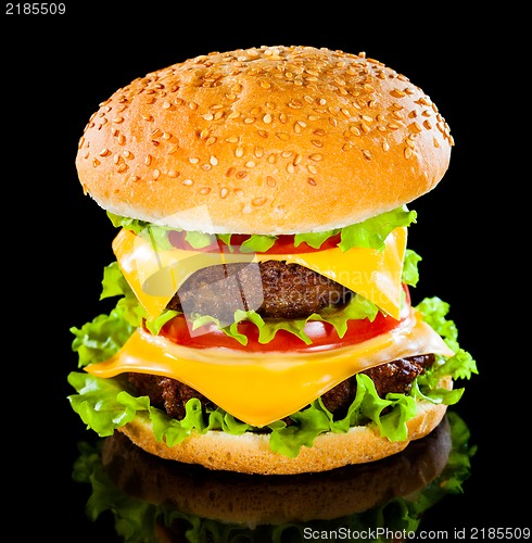 Image of Tasty and appetizing hamburger