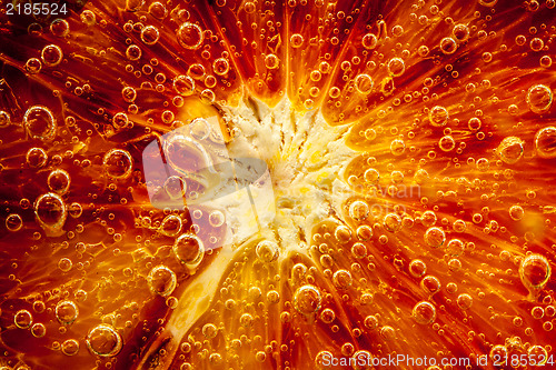 Image of citrus close up with bubbles, abstract background