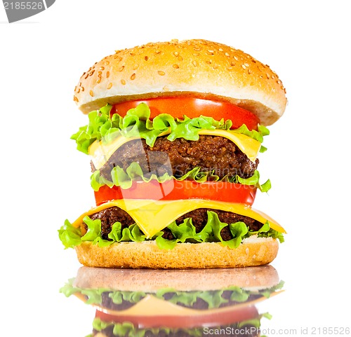 Image of Tasty and appetizing hamburger on a white