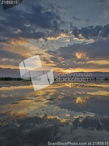 Image of Morning in the Lake