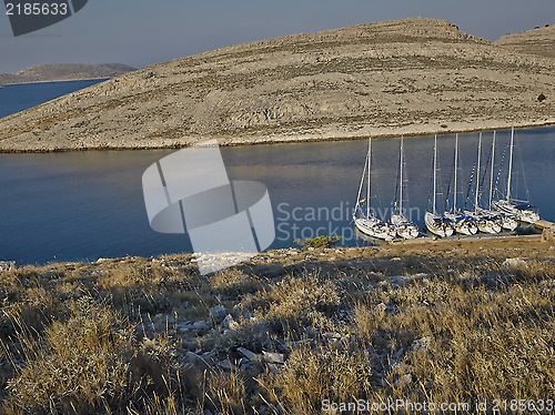 Image of Sailboats in morning light