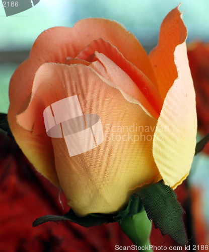 Image of Paper flower