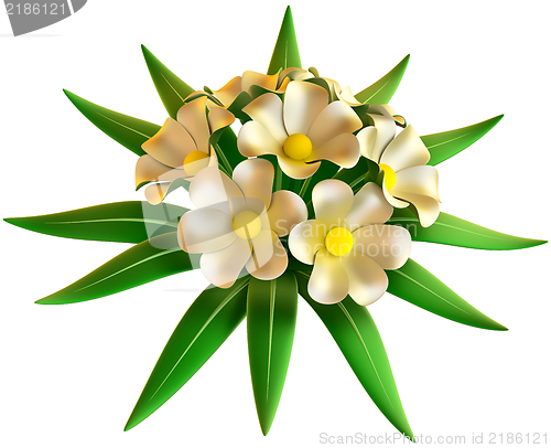 Image of wedding bouquet of white flowers