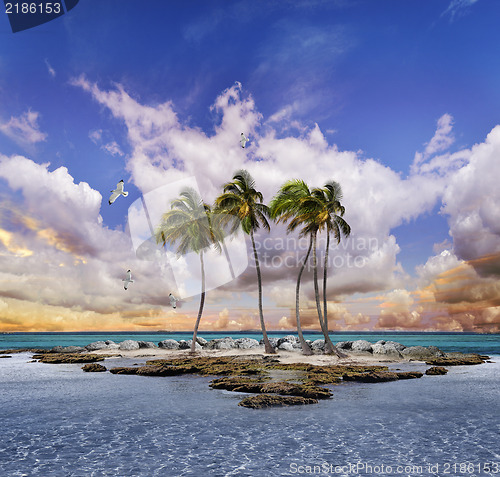 Image of Tropical landscape