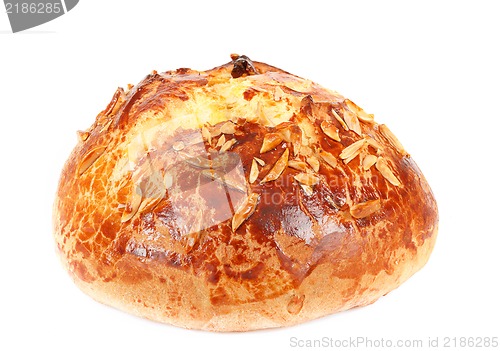 Image of Typical homemade czech Easter Cake With Almonds on white