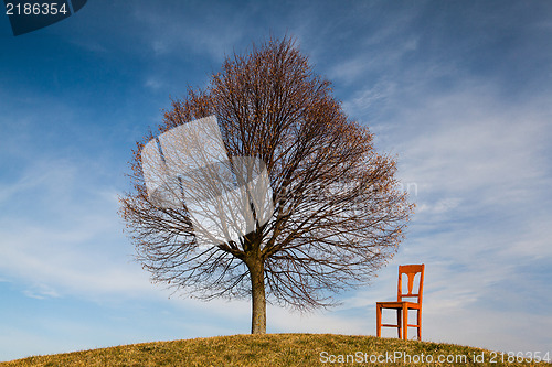 Image of The old chair on the golf course