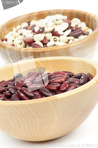 Image of Red and White Bean
