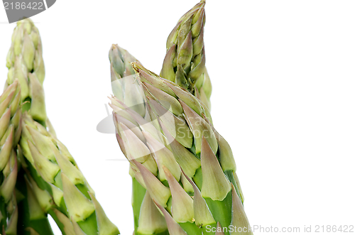 Image of Asparagus