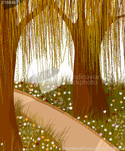 Image of Willow forest background